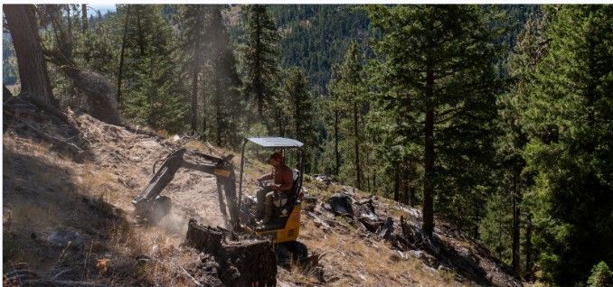 Mini excavator building trail on a forested hillside